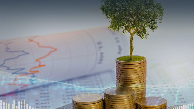 工厂管理咨询：揭秘其批发价格背后的价值